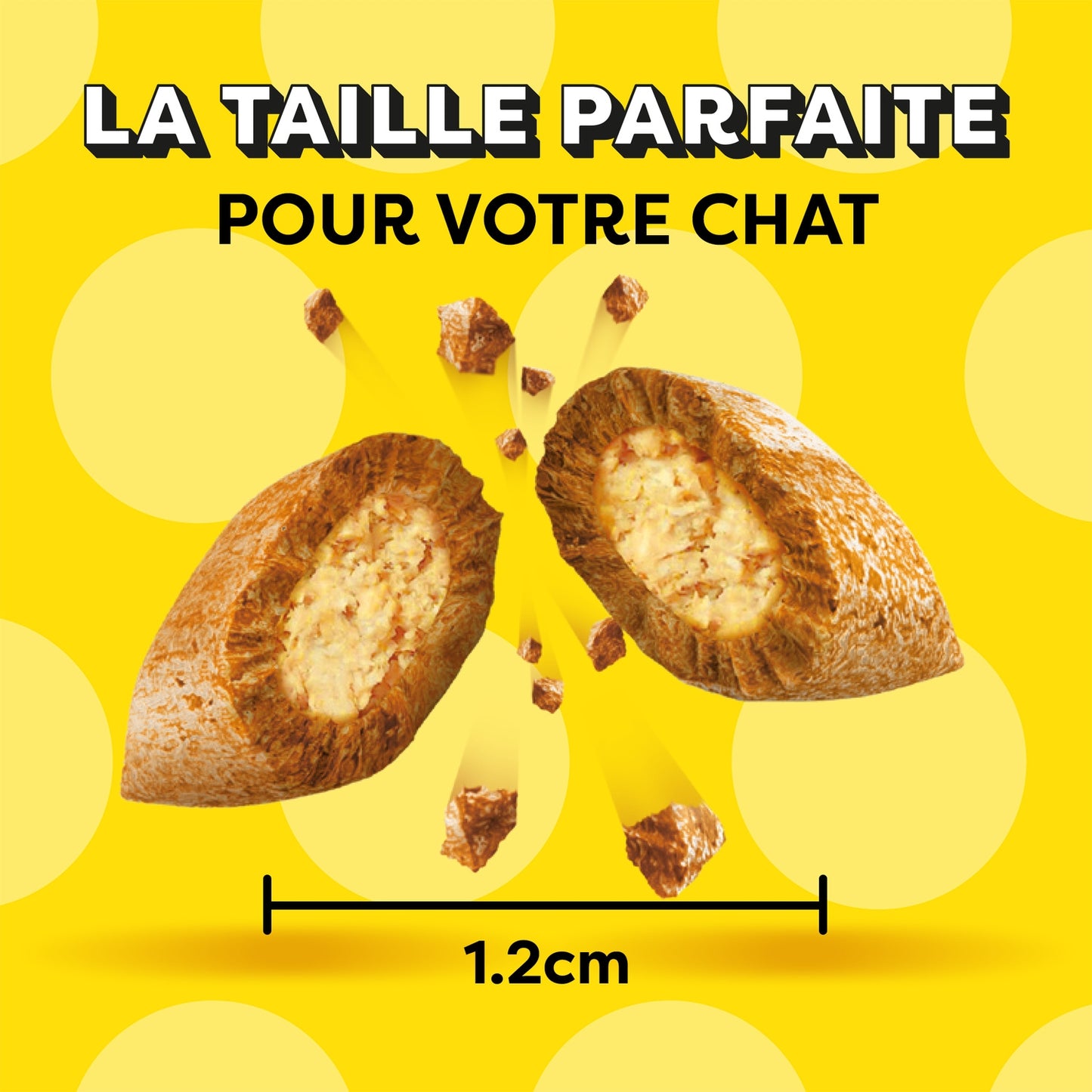 Friandises pour Chat Adulte Boeuf CATISFACTIONS 
