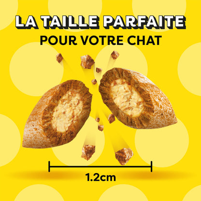 Friandises pour Chat Adulte Boeuf CATISFACTIONS 