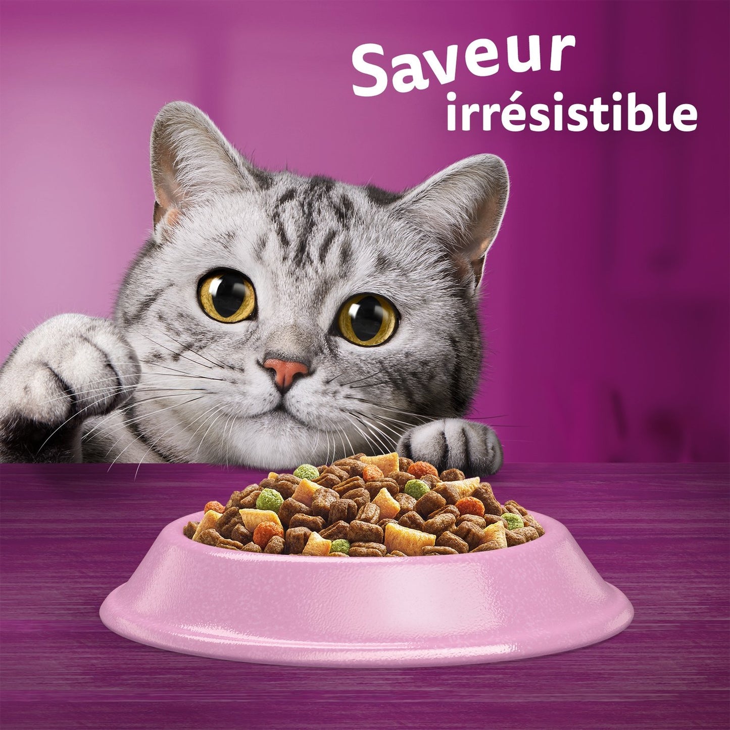 Croquettes pour Chat Adulte Stérilisé au Saumon WHISKAS