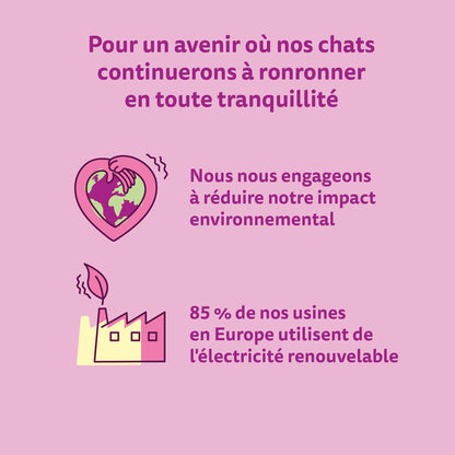 Croquettes pour Chat Adulte Stérilisé au Saumon WHISKAS