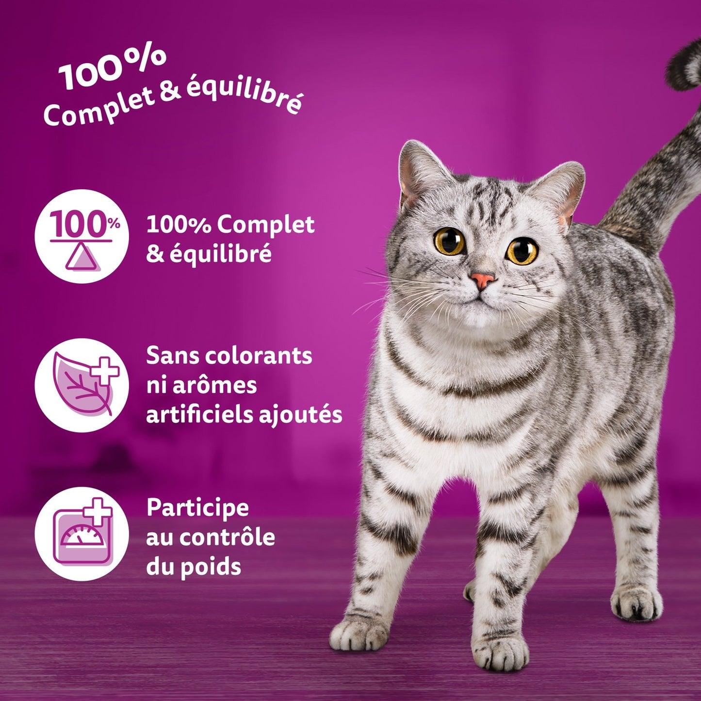 WHISKAS Sterilized Adult Cat Food with Chicken