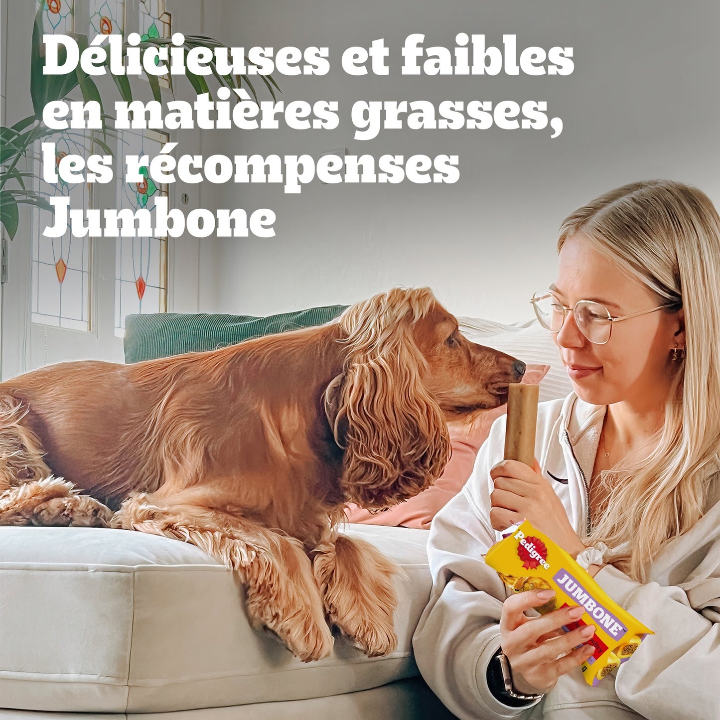 Friandises Pour Chien Moyen +10kg Grand +25kg Boeuf Volaille Jambon PEDIGREE 