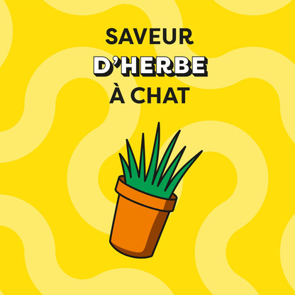 Friandises pour Chat Adulte Herbe à Chat CATISFACTIONS