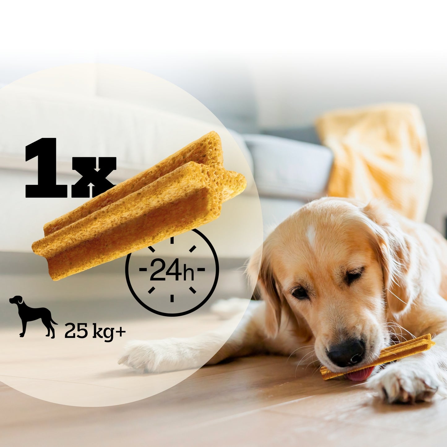 Hygiène Bucco-Dentaire pour Grand Chien PEDIGREE