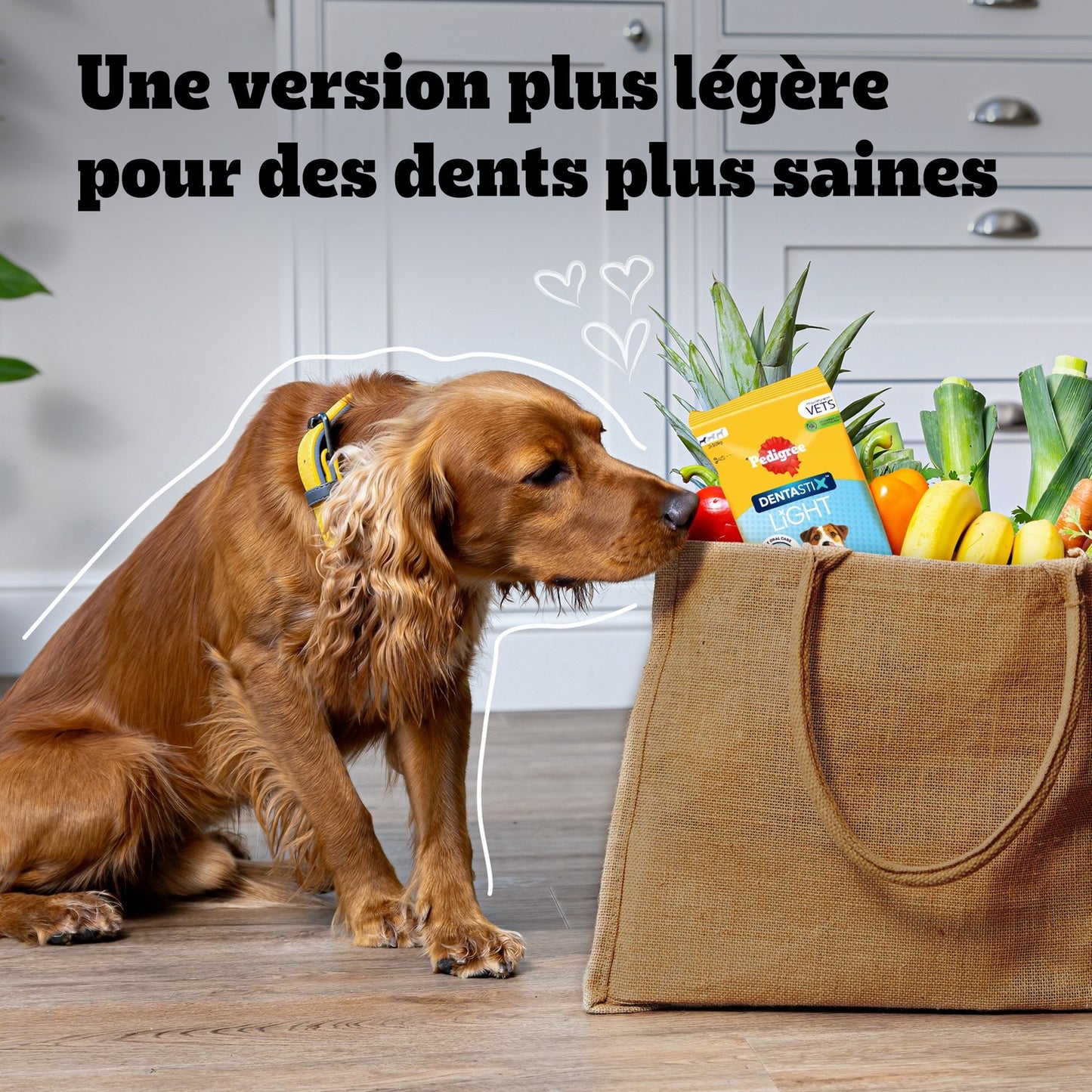Hygiène Bucco-Dentaire pour Grand Chien PEDIGREE