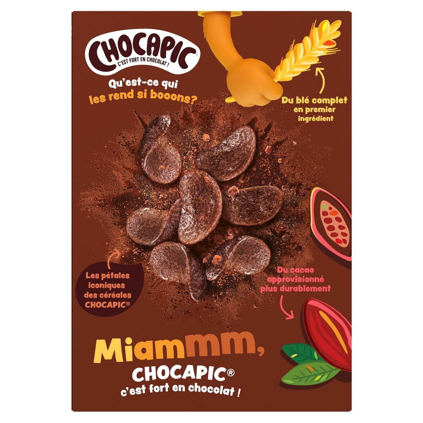 Céréales au Chocolat CHOCAPIC