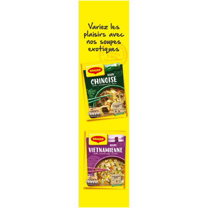Soupe Déshydratée Poule Vermicelles Carottes MAGGI