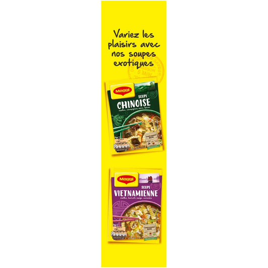 Soupe Déshydratée Poule Vermicelles Carottes MAGGI