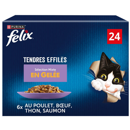 Pâtée pour Chat Adulte Tendres Effilés en Gelée Poulet Boeuf Thon Saumon FELIX