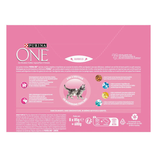 Purina Junior Salmon &amp; Chicken Cat Food