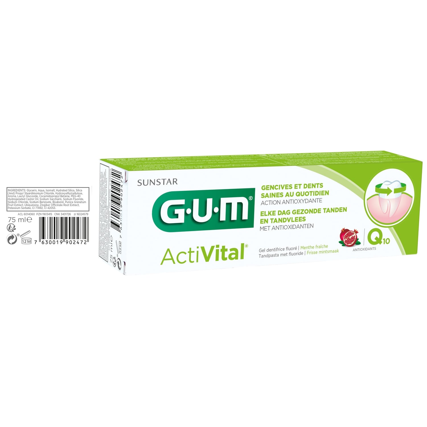 Dentifrice Multi-action Protège les Dents et les Gencives Q10 SUNSTAR 