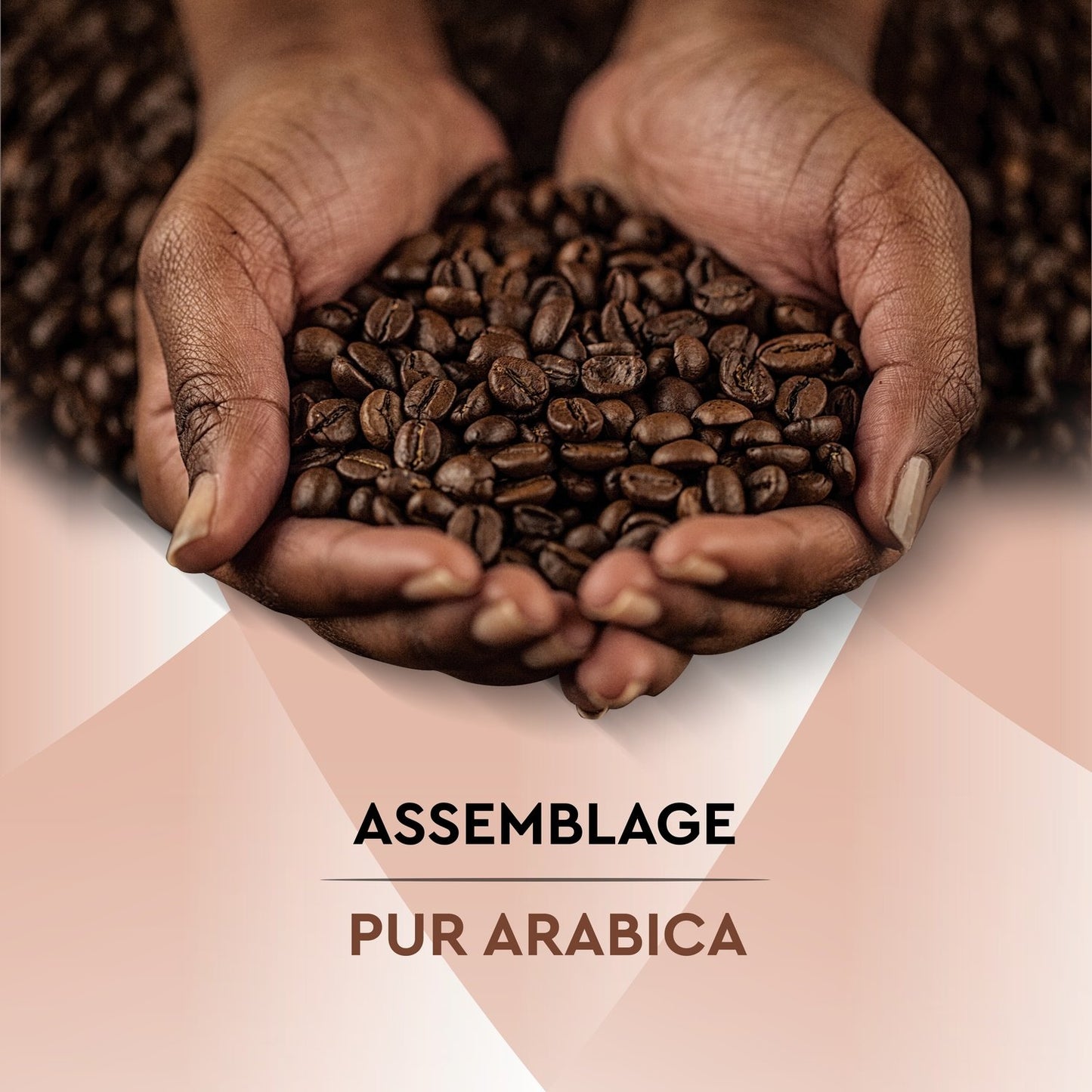 100% Arabica Mild Ground Coffee BLACK CARD