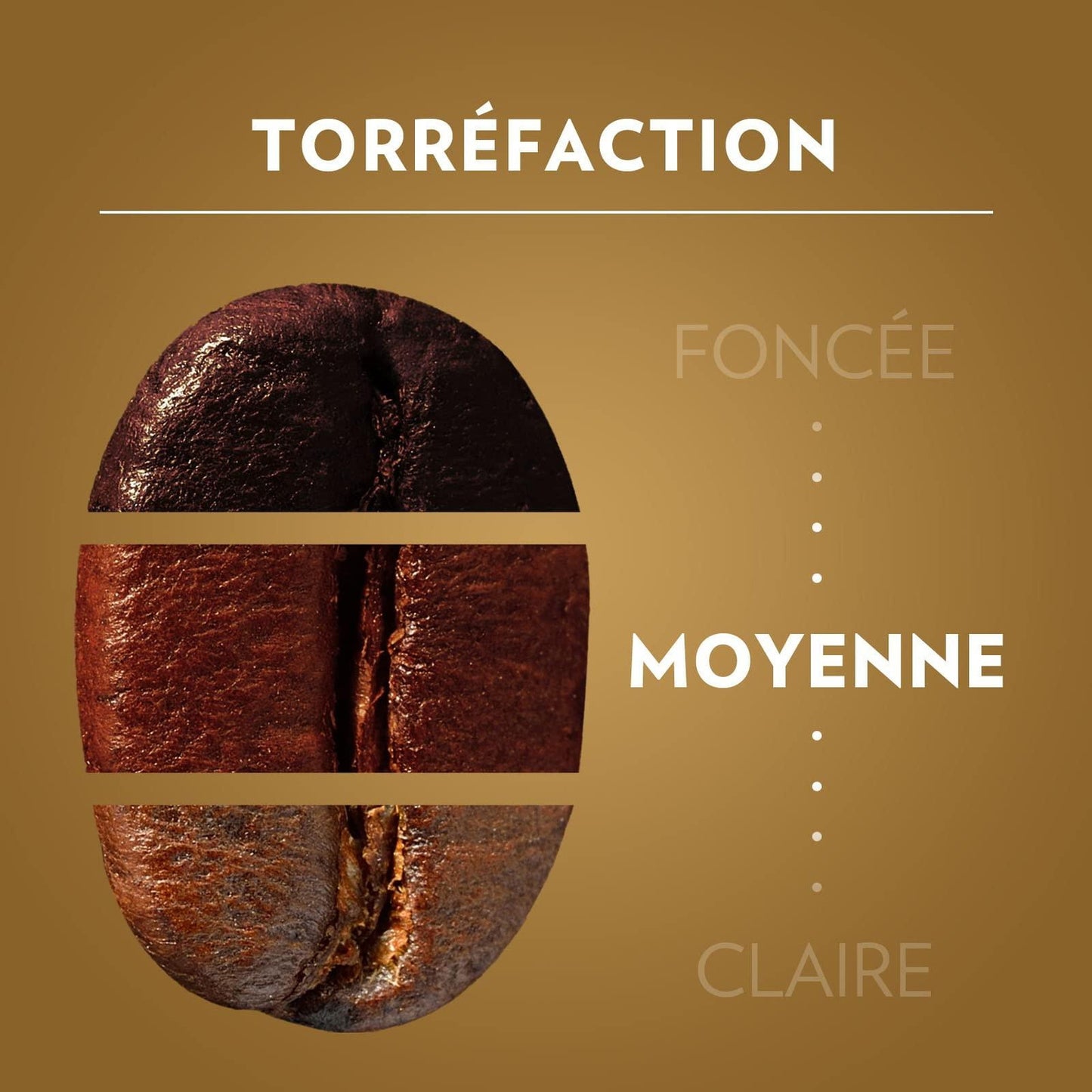 LAVAZZA 100 % Arabica-Kaffeebohnen, Intensität 5