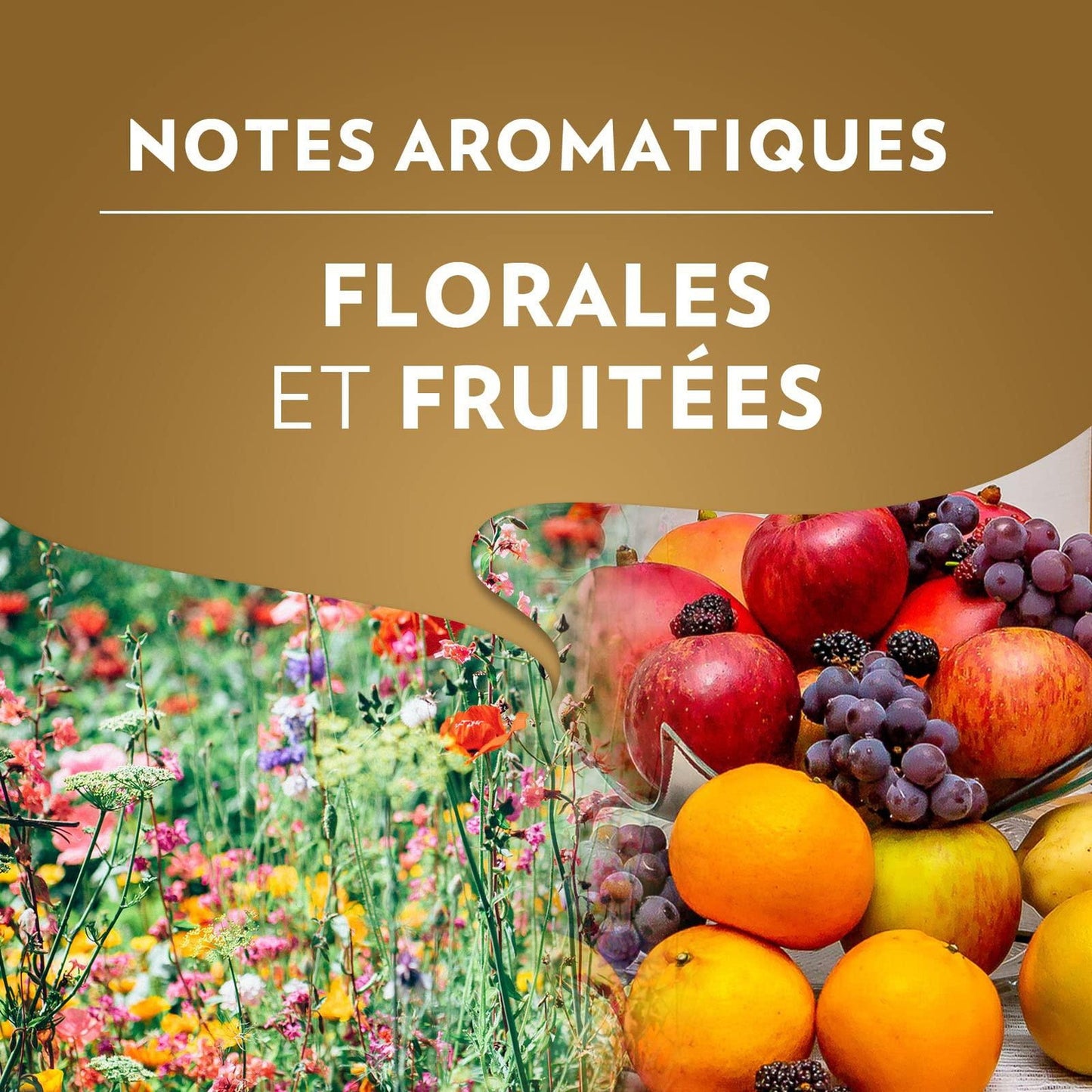 LAVAZZA 100 % Arabica-Kaffeebohnen, Intensität 5