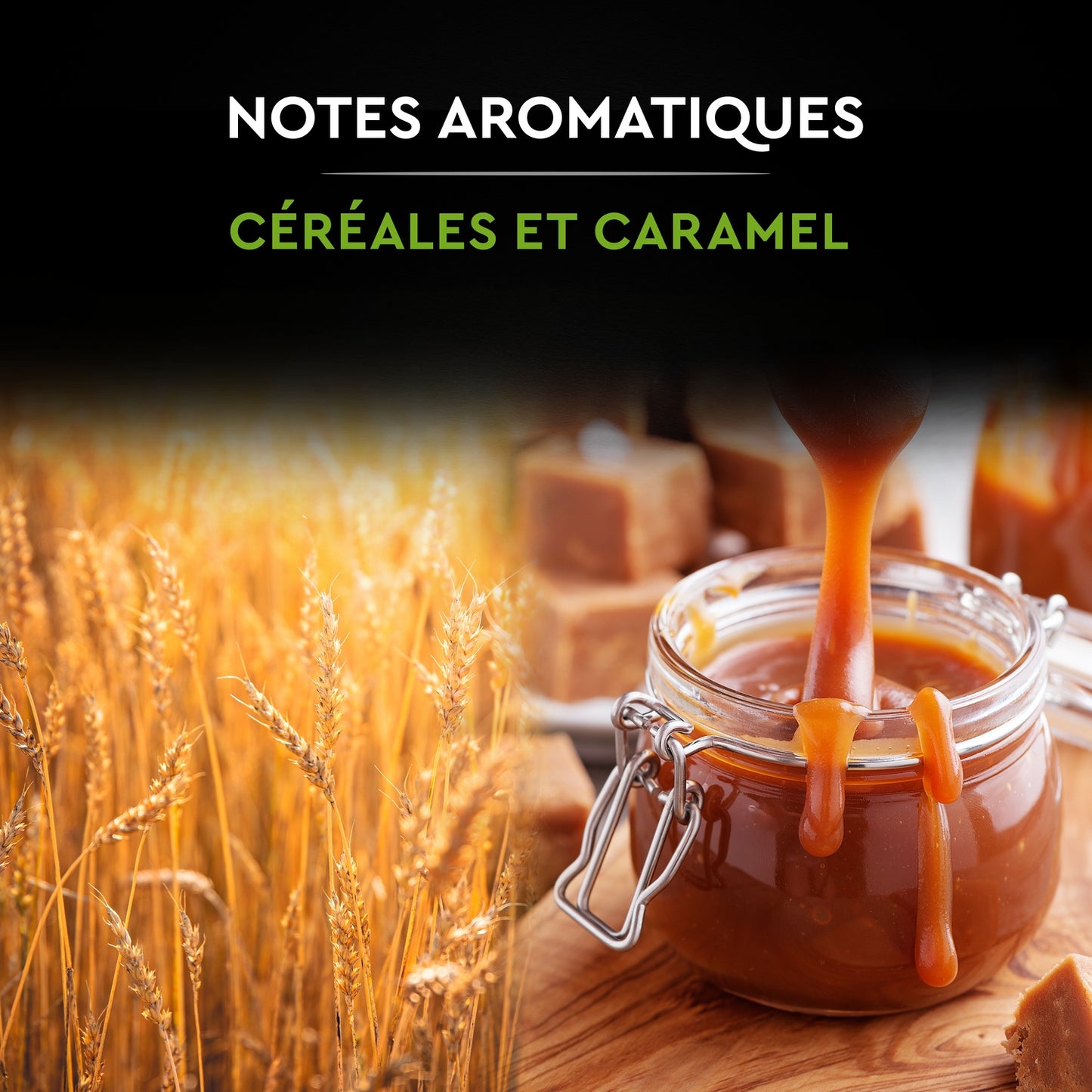 Café Moulu 100% Arabica Intensité 5 Bio CARTE NOIRE 