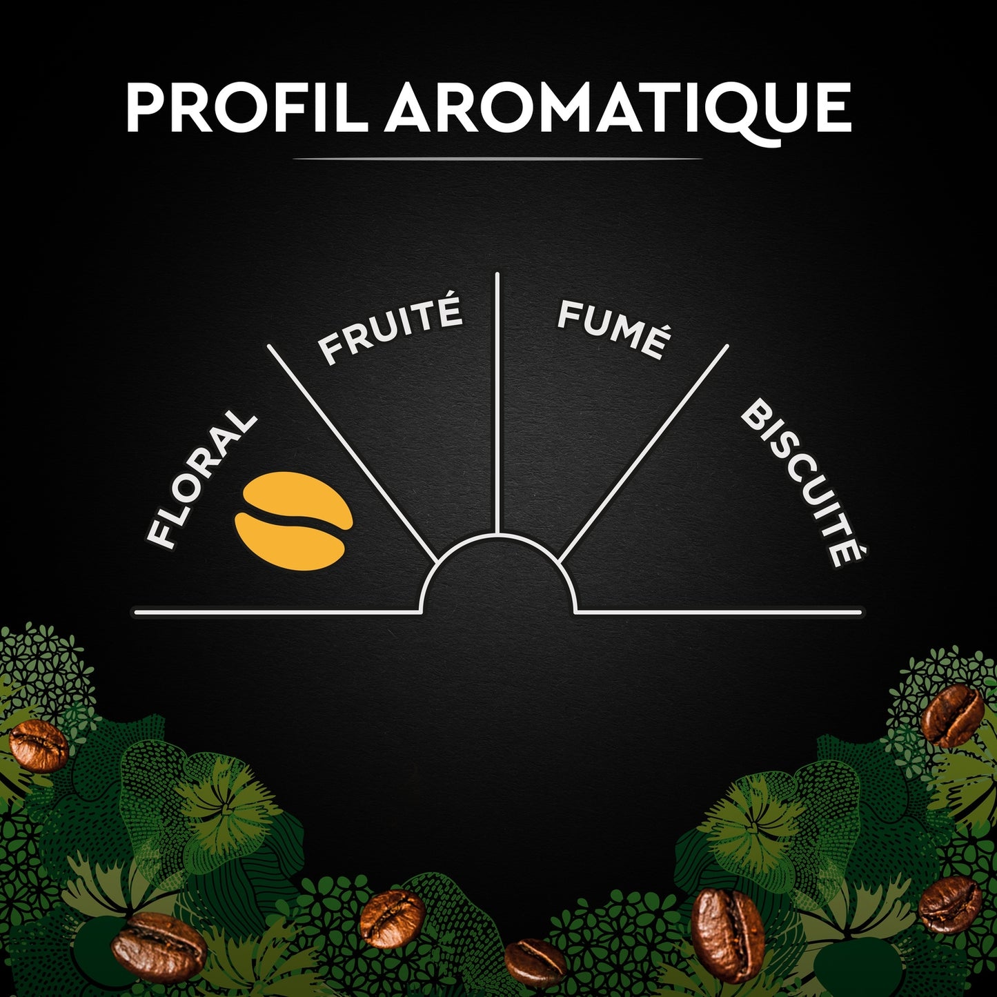 Café Moulu 100% Arabica Intensité 5 Bio CARTE NOIRE 