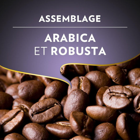 Café en Grain Expresso Barista Intenso LAVAZZA