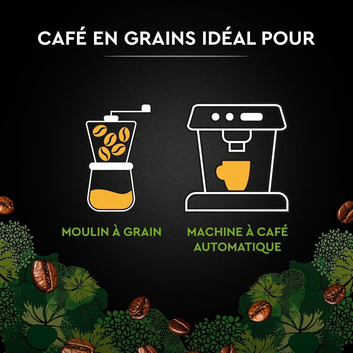 Café en Grains Bio 100% Arabica CARTE NOIRE