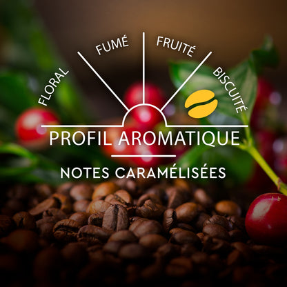 Café Capsules Compatibles Nespresso Lungo Classique °6 CARTE NOIRE