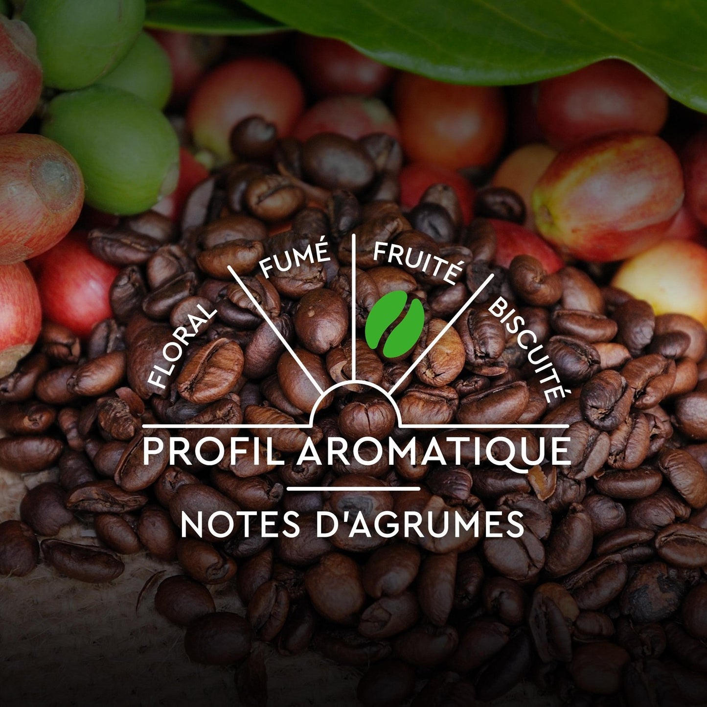 Café Capsules Compatibles Nespresso Espresso Bio CARTE NOIRE