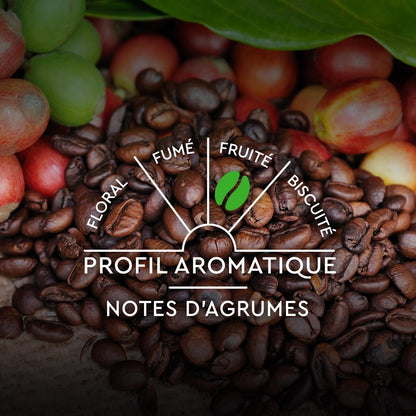 Coffee Capsules Compatible with Nespresso Organic Espresso BLACK CARD