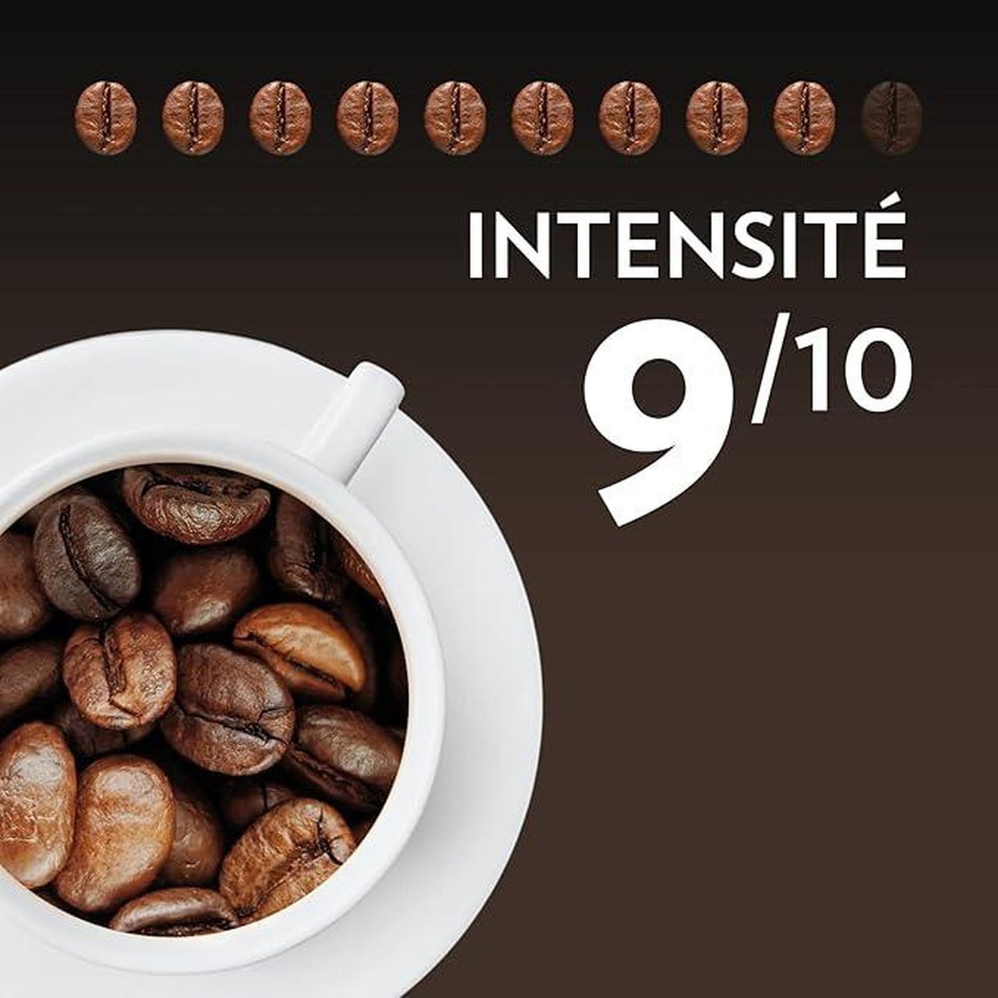 Maestro Organic Espresso Coffee Beans LAVAZZA
