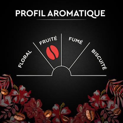 100% Arabica Kaffeebohnen Intensität 6 Honduras Bio SCHWARZE KARTE