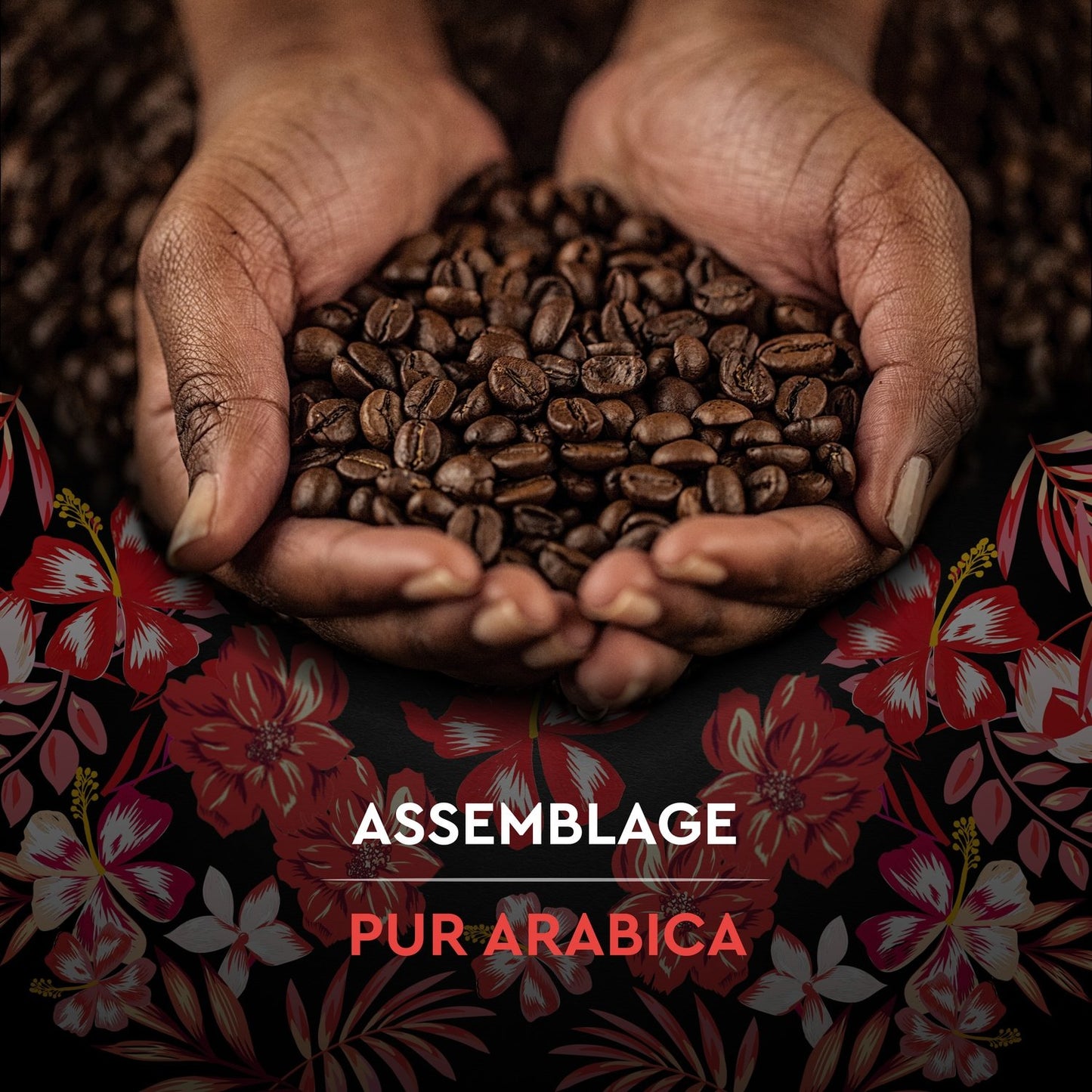 100% Arabica Kaffeebohnen Intensität 6 Honduras Bio SCHWARZE KARTE