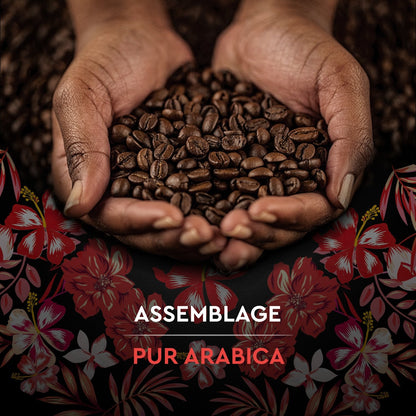 100% Arabica Kaffeebohnen Intensität 6 Honduras Bio SCHWARZE KARTE