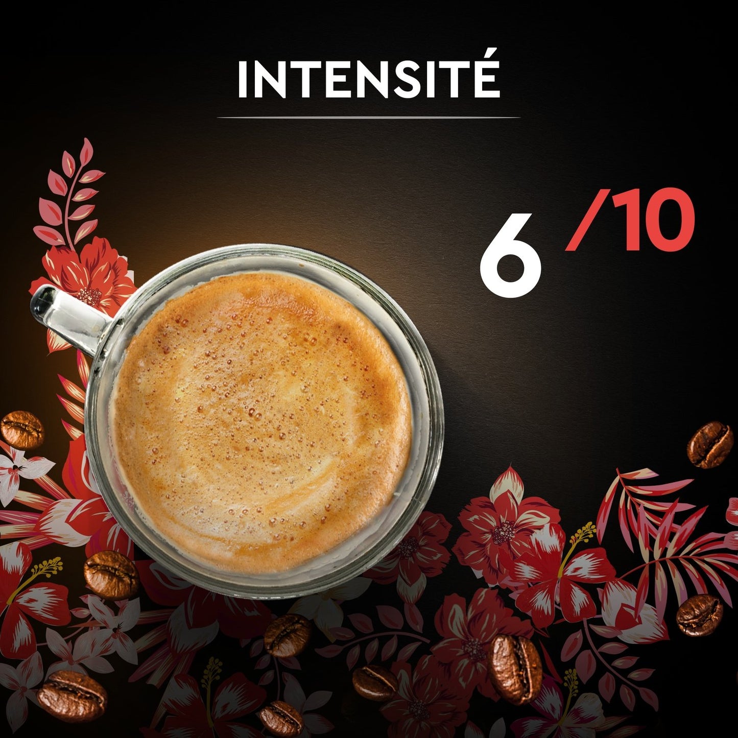100% Arabica Kaffeebohnen Intensität 6 Honduras Bio SCHWARZE KARTE