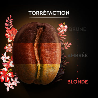 100% Arabica Kaffeebohnen Intensität 6 Honduras Bio SCHWARZE KARTE