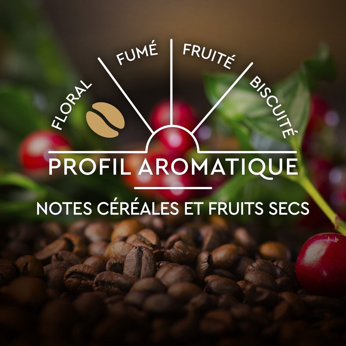 Ikonische 100 % Arabica-Kaffeekapseln, kompatibel mit Nespresso BLACK CARD