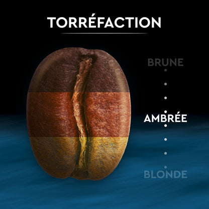 Café Moulu Décaféiné 100% Arabica Intensité 7 CARTE NOIRE