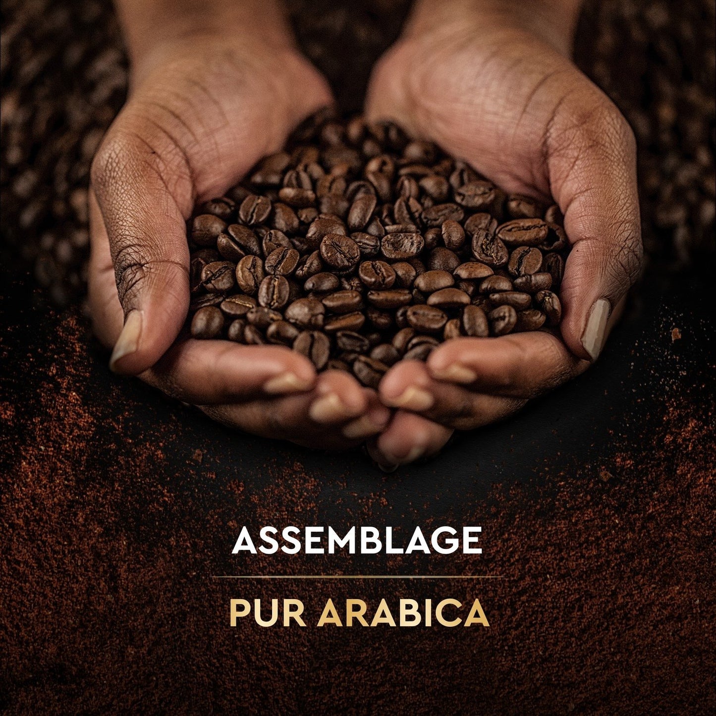 Café Moulu 100% Arabica CARTE NOIRE