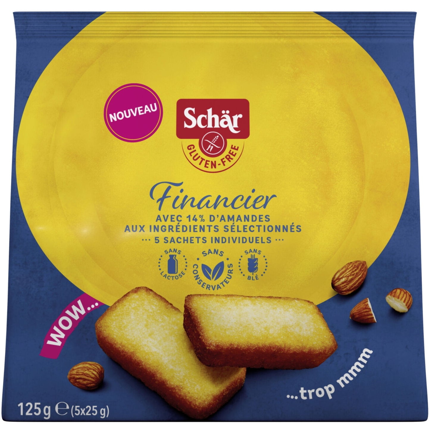 Gâteau Financier aux Amandes SCHAR