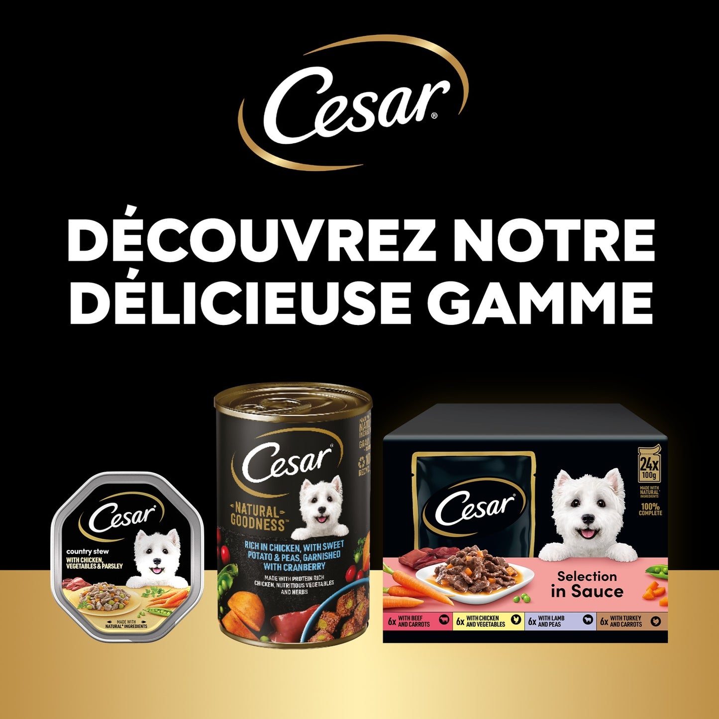Pâtée pour Chien Adulte Bouchée en Sauce Boeuf Poulet Agneau Dinde CESAR
