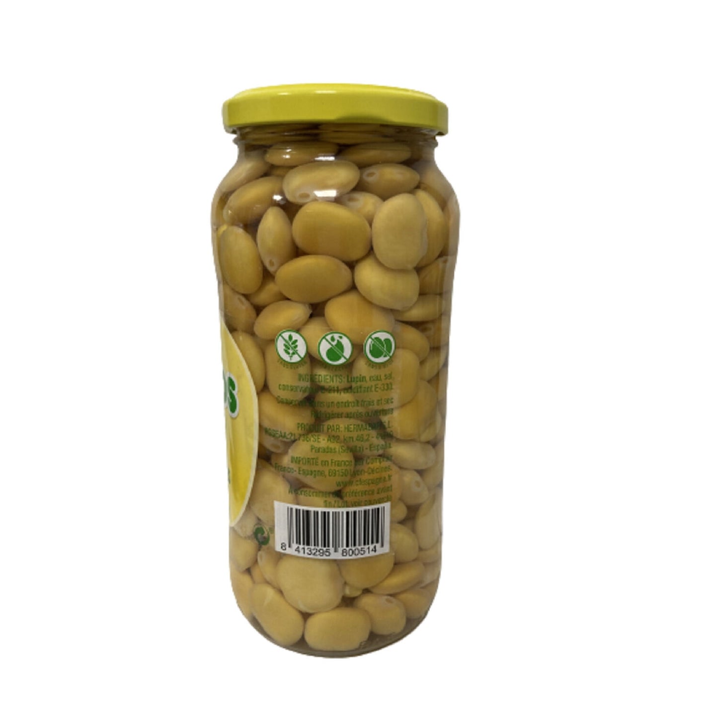 Giant Lupins SALADITOS