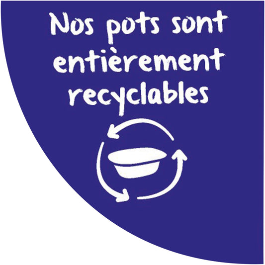 Dessert lacté bébé dès 6 mois Poire Croissance P'tit Onctueux NESTLE 