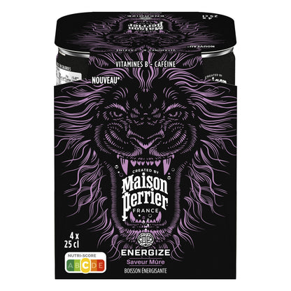 Boisson Énergisante Saveur Mûre PERRIER 
