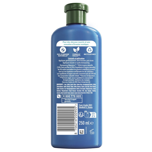 Shampoing Réparation Huile d'Argan HERBAL ESSENCES