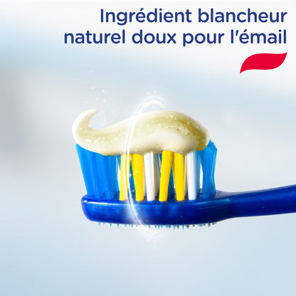 SIGNAL Whitening System Toothpaste