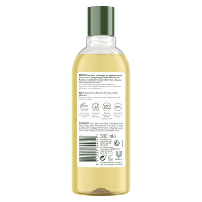 TIMOTEI Moisturizing Shampoo