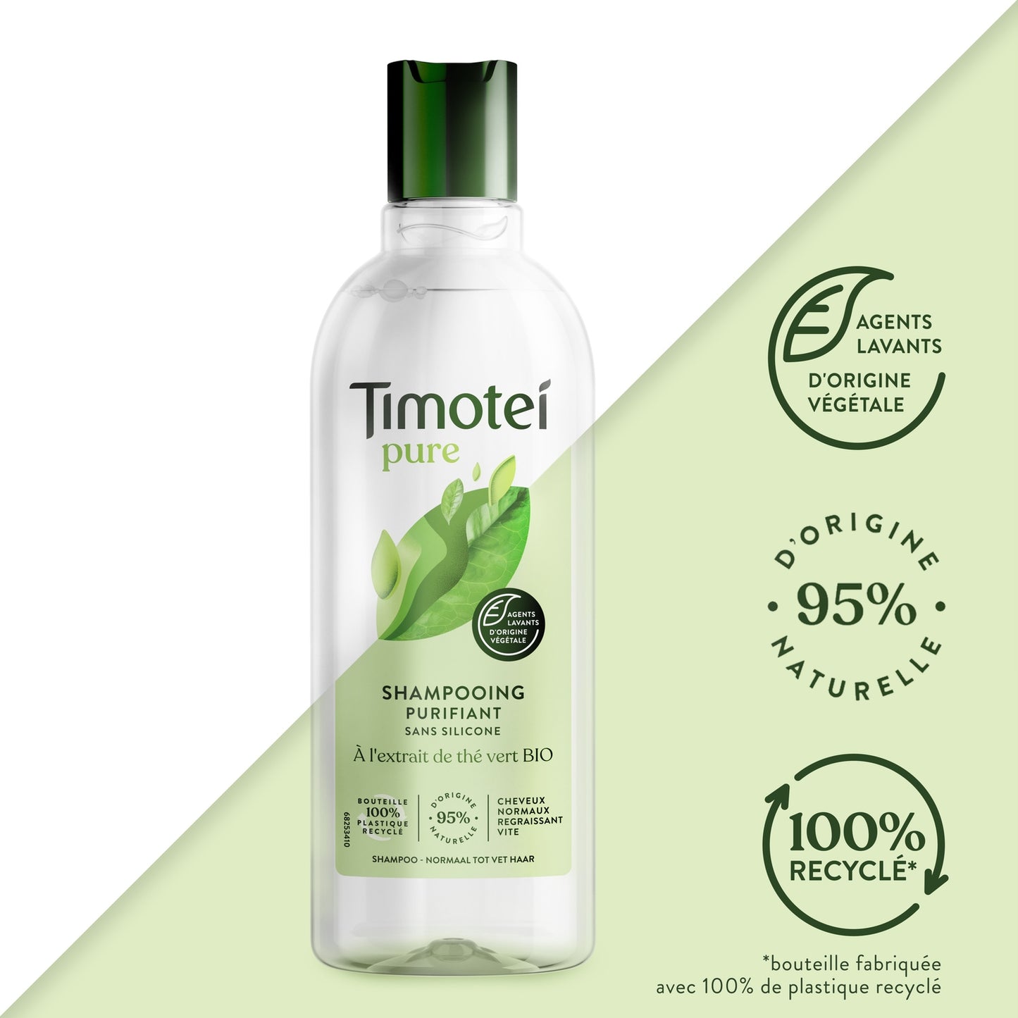 Silicone-Free Purifying Shampoo for Normal Hair, Fast-Greasy with Green Tea Extract TIMOTEI