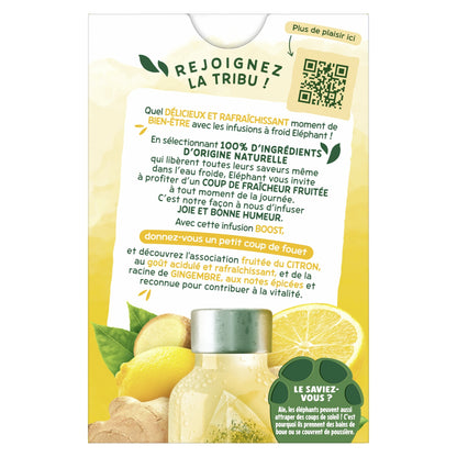 ELEPHANT Boost Cold Infusion