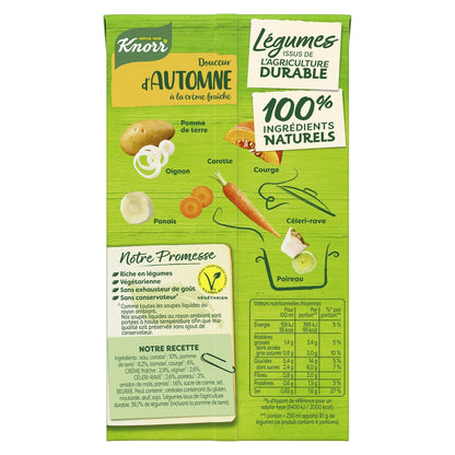 KNORR Autumn Sweetness Soup with Sour Cream