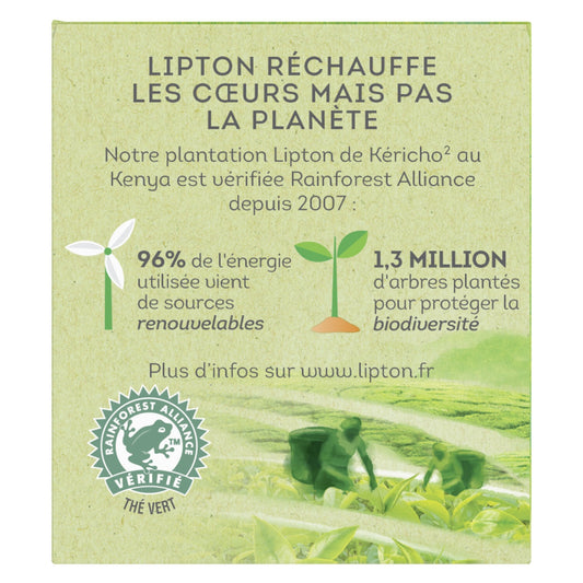 Thé Vert Menthe LIPTON