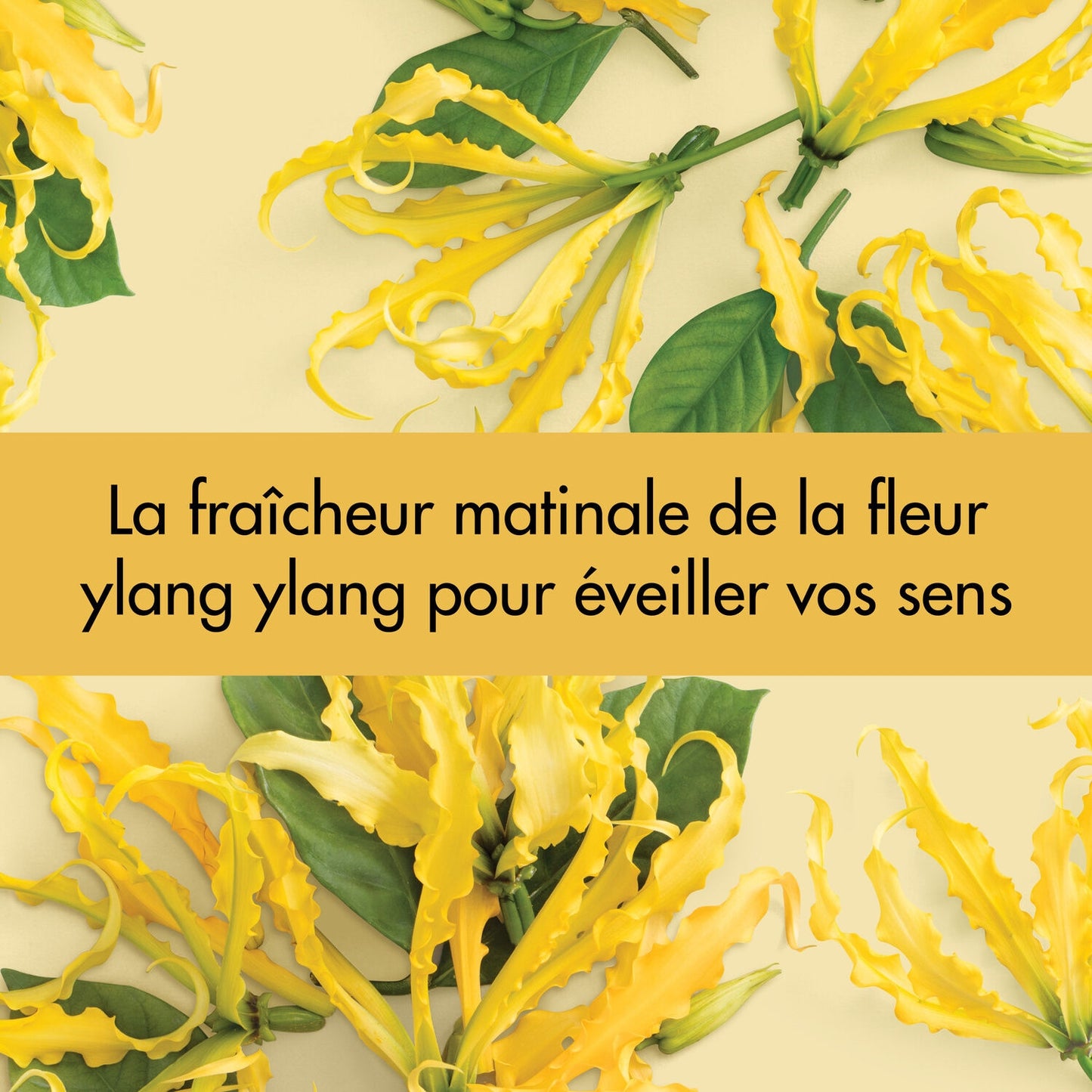Gel Douche Oasis Nourrissante LOVE BEAUTY AND PLANET