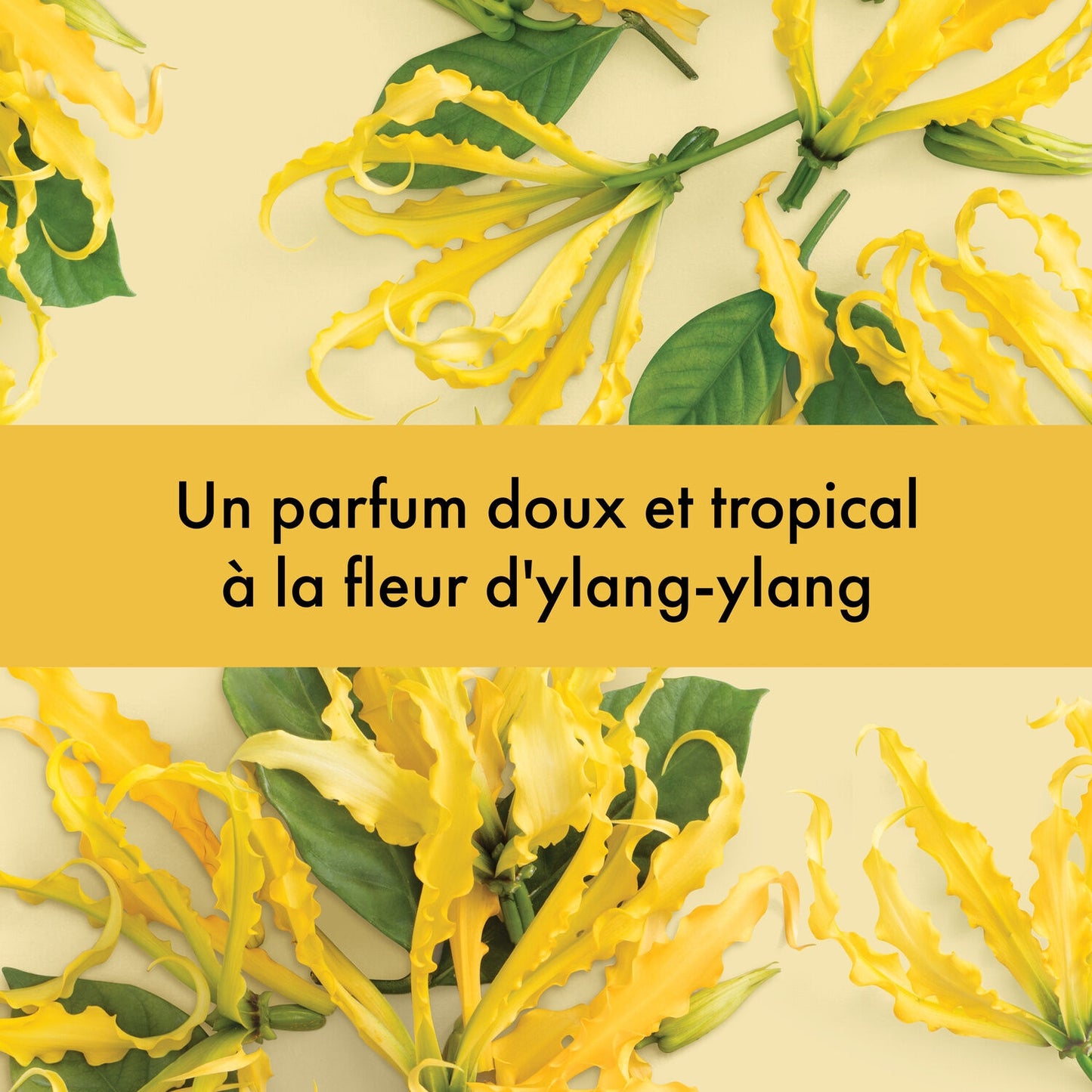 Gel Douche Oasis Nourrissante LOVE BEAUTY AND PLANET