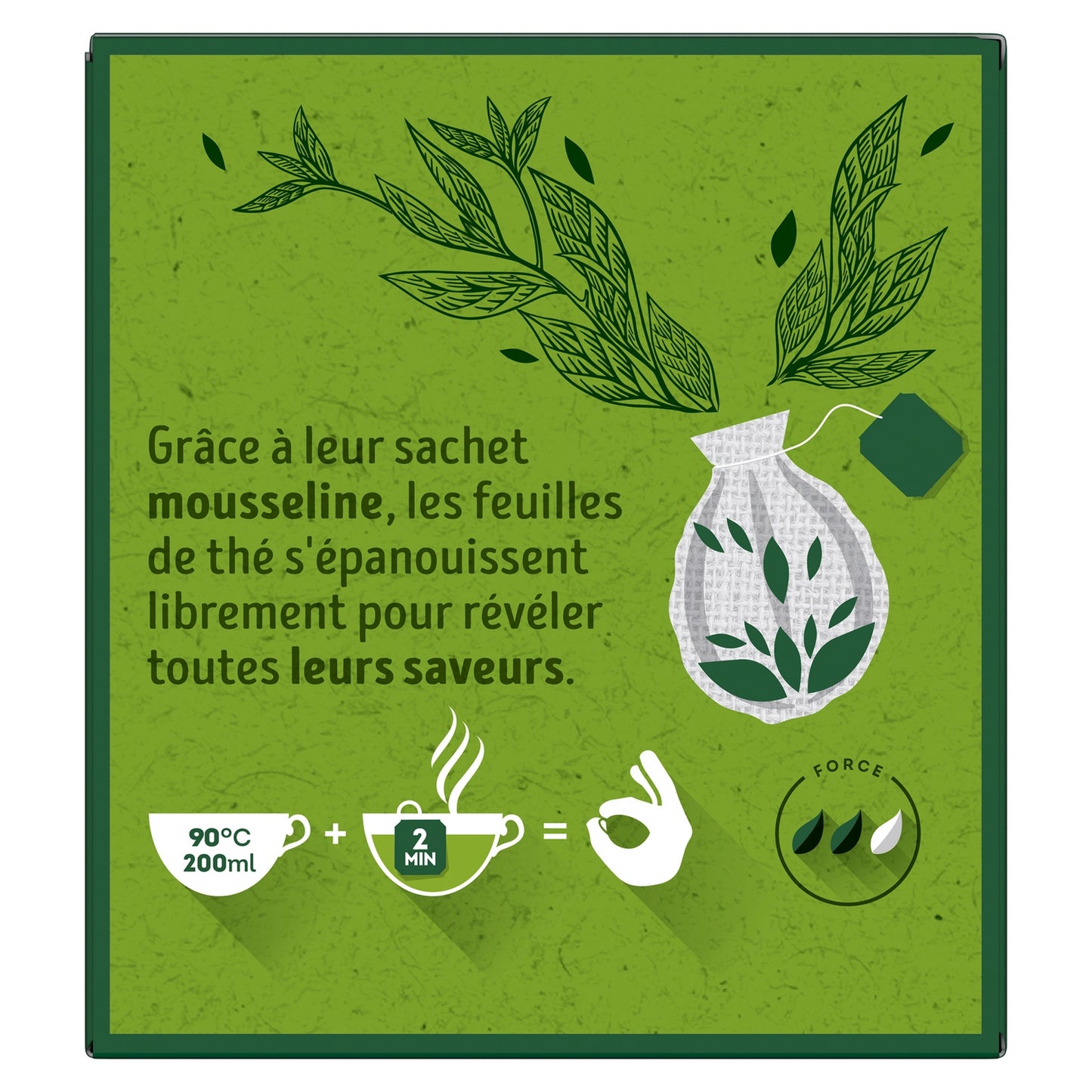 LIPTON Organic Marrakech Mint Green Tea