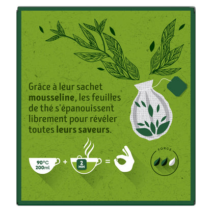 LIPTON Organic Marrakech Mint Green Tea
